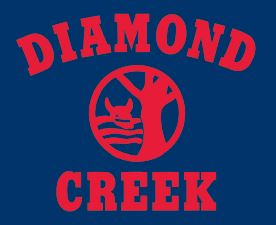Diamond Creek Primary School