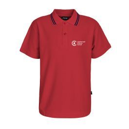 S/S Polo - Stripe Collar