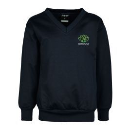 V Neck Nylon Windcheater