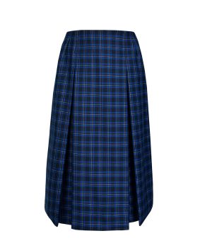 Winter Skirt