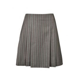 Pleated Winter Skirt