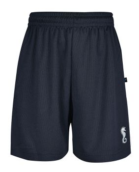 Mesh Sport Shorts