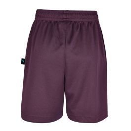 Mesh Sport Shorts