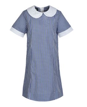 Panel Seam Dress