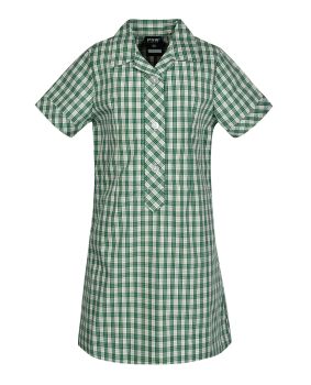 Green and white hot sale gingham school dress