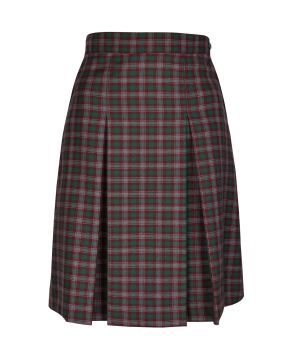 Winter Skirt