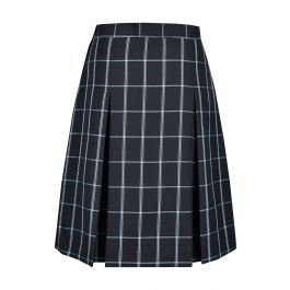 Box Pleat Skirt