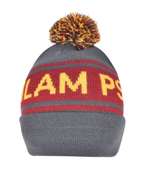 Beanie with Pom Pom