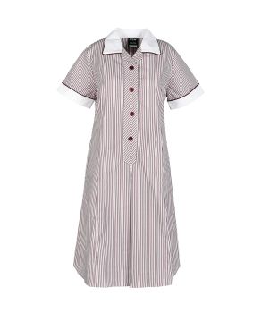 Summer Dress-Contrast Collar & Cuffs