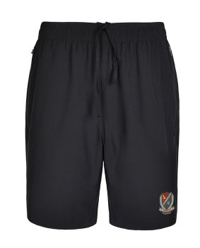 Stretch Microfibre Shorts