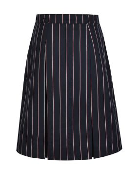 Winter Pleated Skirt