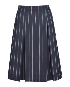 Winter Pleated Skirt