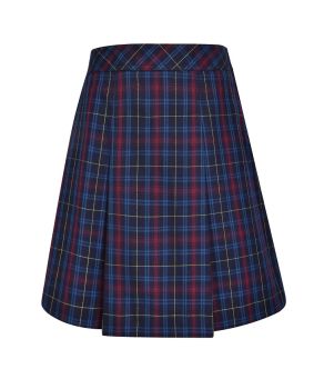 Elastic Back Pleated Skirt