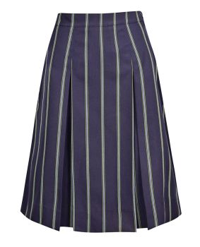 Winter Pleated Skirt with Cross Cut Waistband