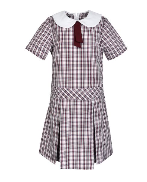Making your school look great Drop Waist Dress